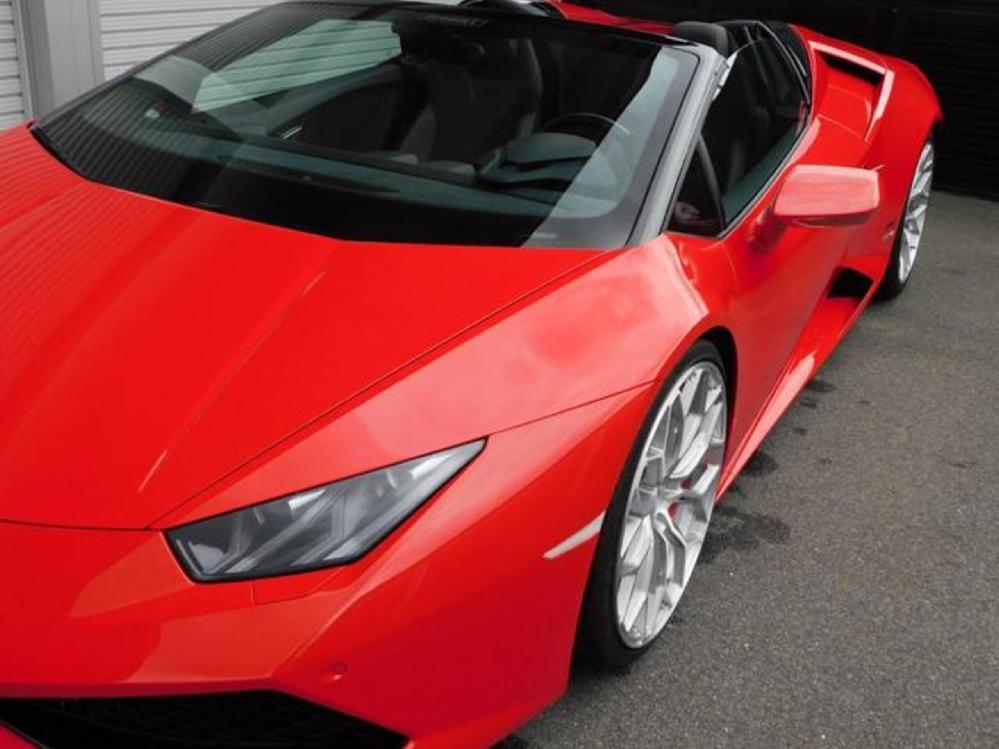 �����{���M�[�j �E���J���X�p�C�_�[