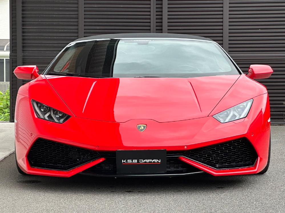 �����{���M�[�j �E���J���X�p�C�_�[