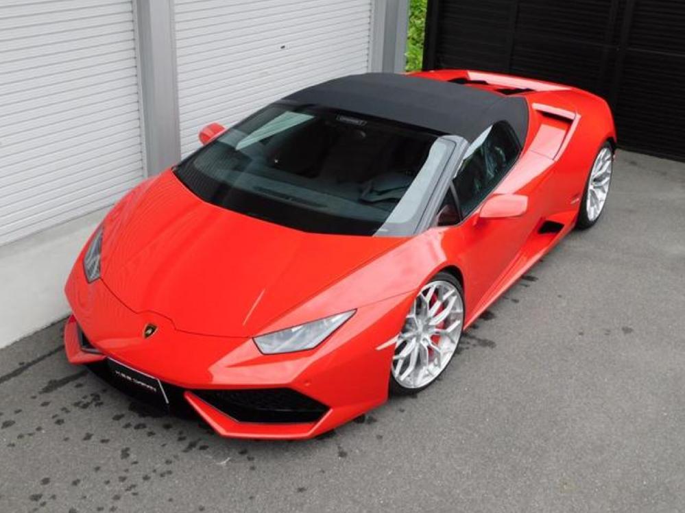 �����{���M�[�j �E���J���X�p�C�_�[