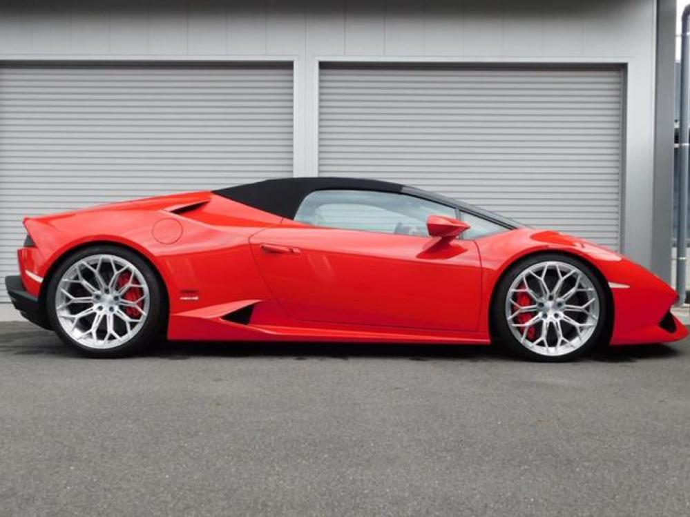 �����{���M�[�j �E���J���X�p�C�_�[