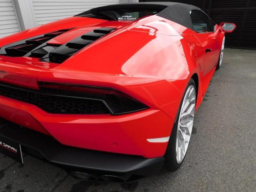 �����{���M�[�j �E���J���X�p�C�_�[