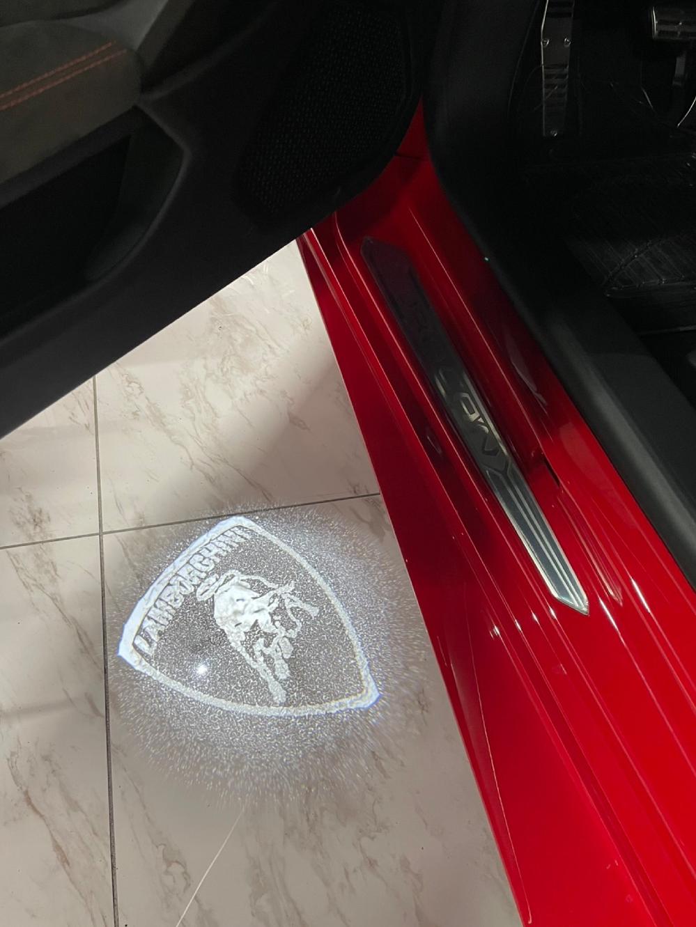 �����{���M�[�j �E���J���X�p�C�_�[