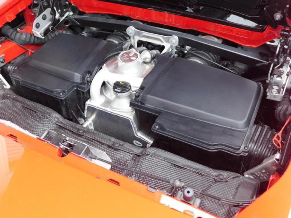 �����{���M�[�j �E���J���X�p�C�_�[