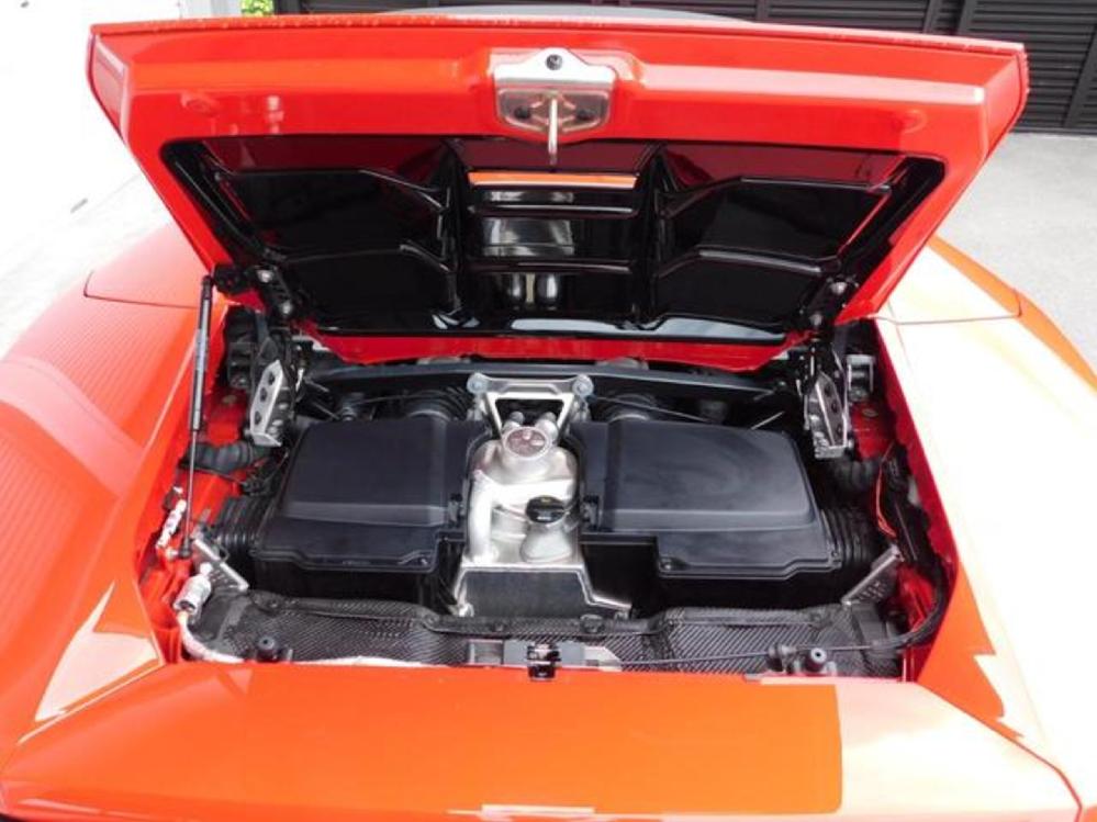 �����{���M�[�j �E���J���X�p�C�_�[