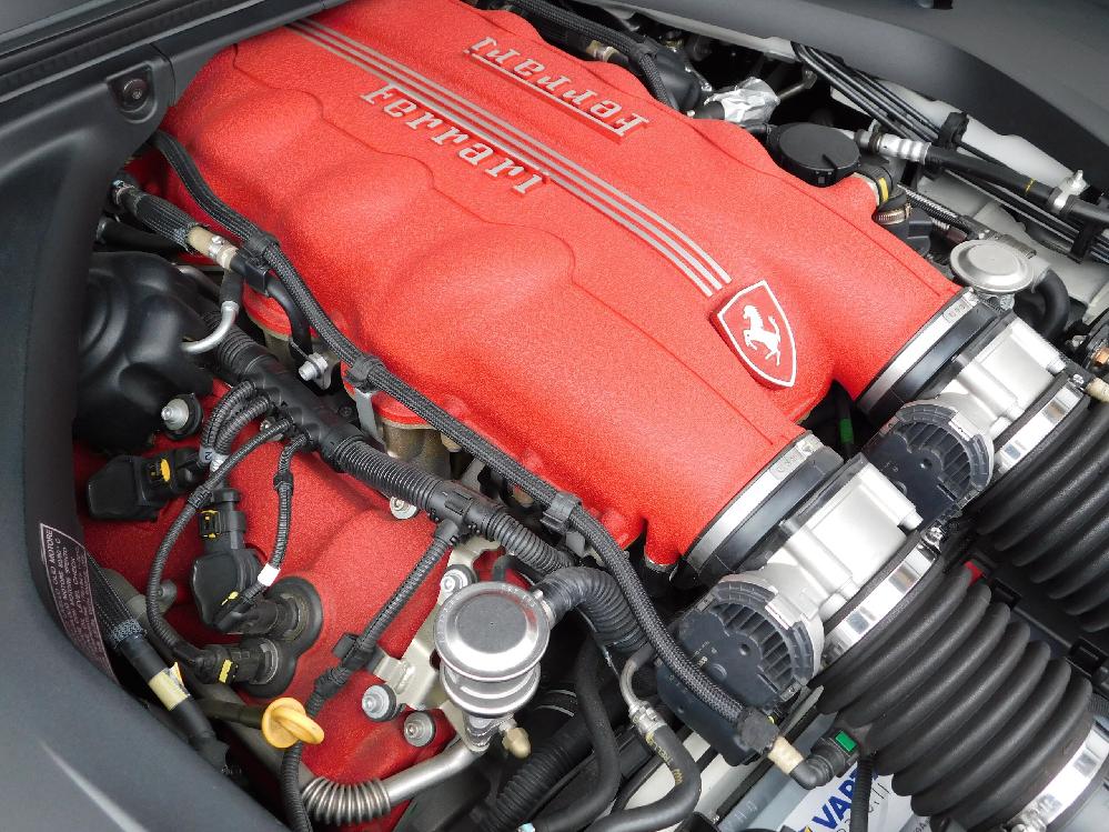 �t�F���[�� �J���t�H���j�A