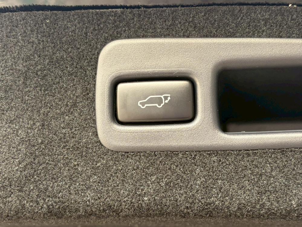 �g���^ �n���A�[