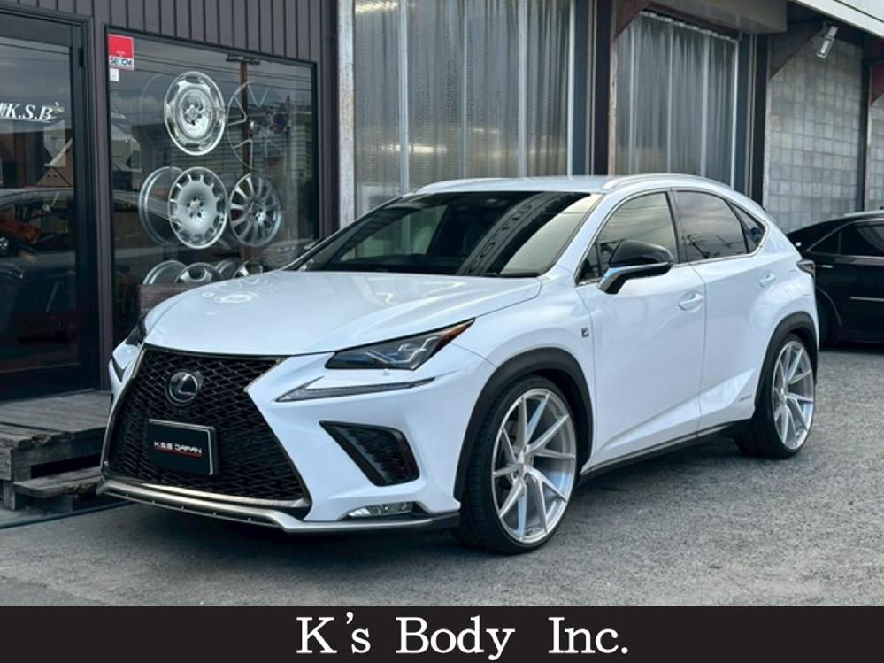 ���N�T�X NX