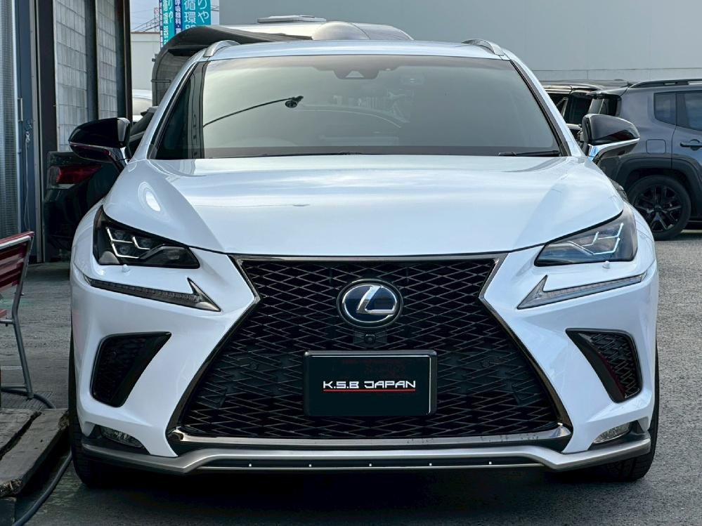 ���N�T�X NX