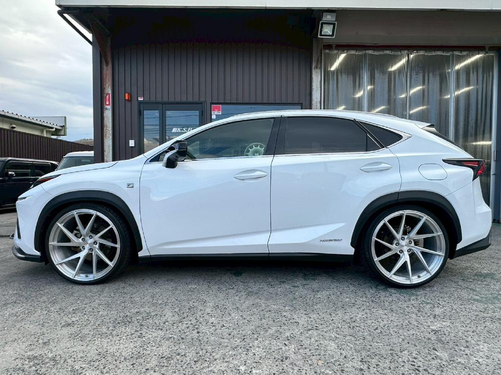 ���N�T�X NX