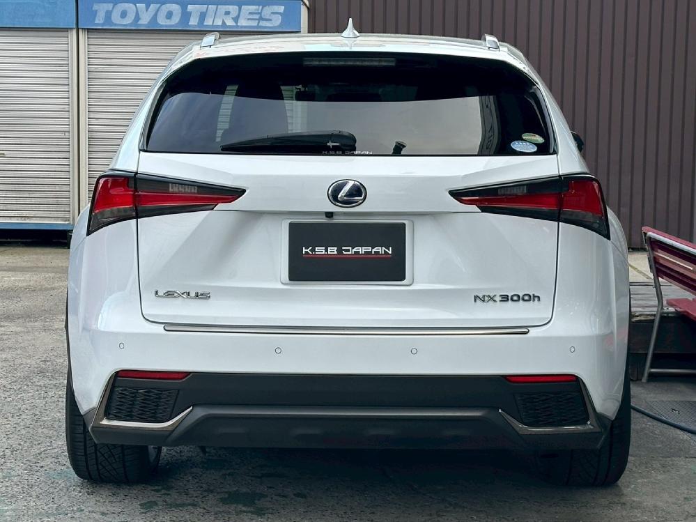 ���N�T�X NX