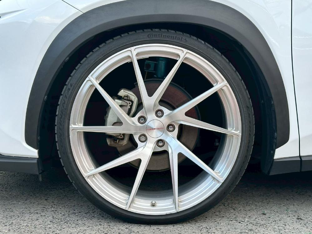 ���N�T�X NX