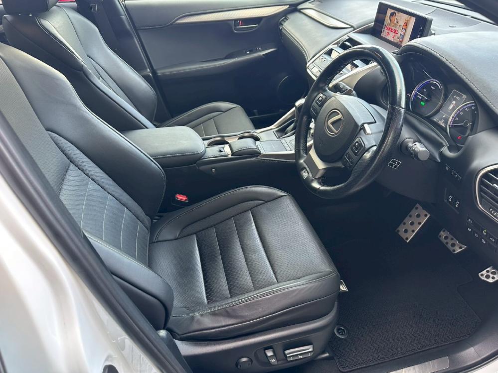 ���N�T�X NX