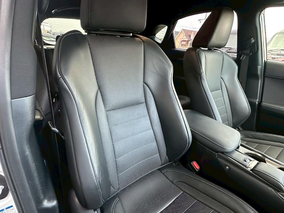 ���N�T�X NX