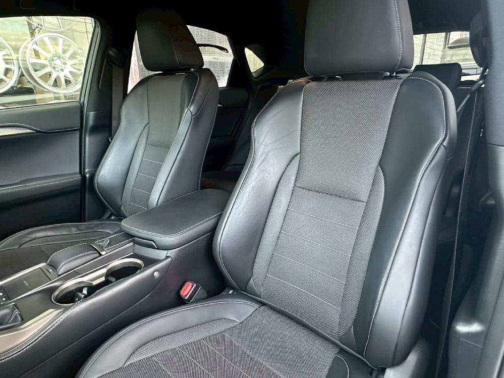 ���N�T�X NX