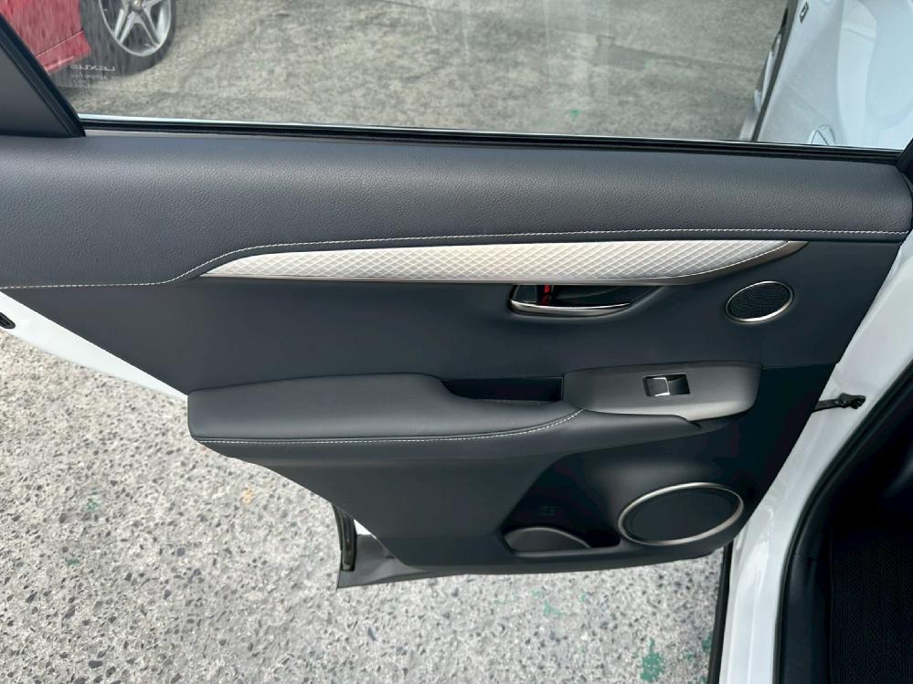 ���N�T�X NX