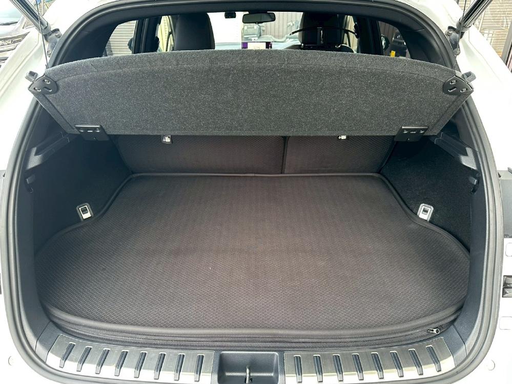 ���N�T�X NX