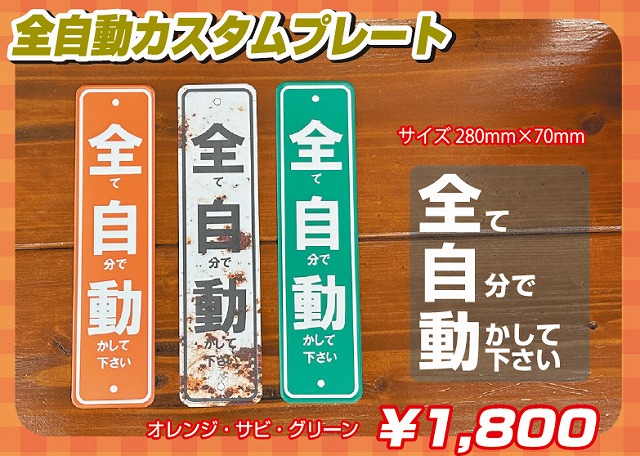 �J�X�^���T�C���v���[�g  �y�Ŕ�1800�~�z�S����