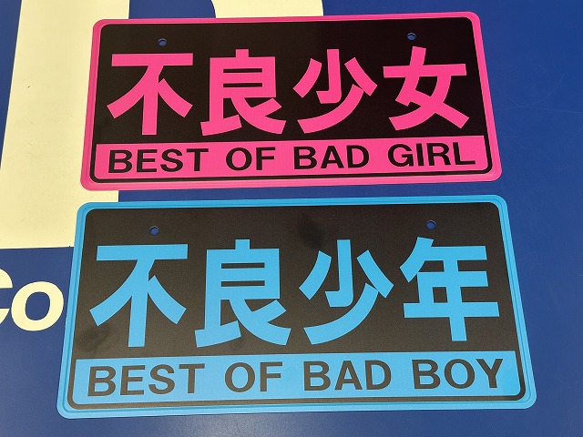 �w�s�Ǐ����x �w�s�Ǐ��N�x �J�X�^���v���[�g �y�Ŕ�3000�~�z