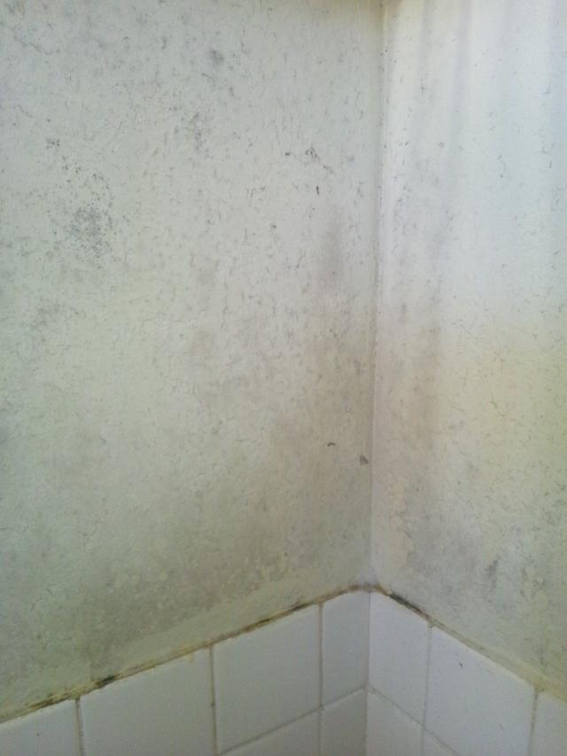 タイル風呂の壁