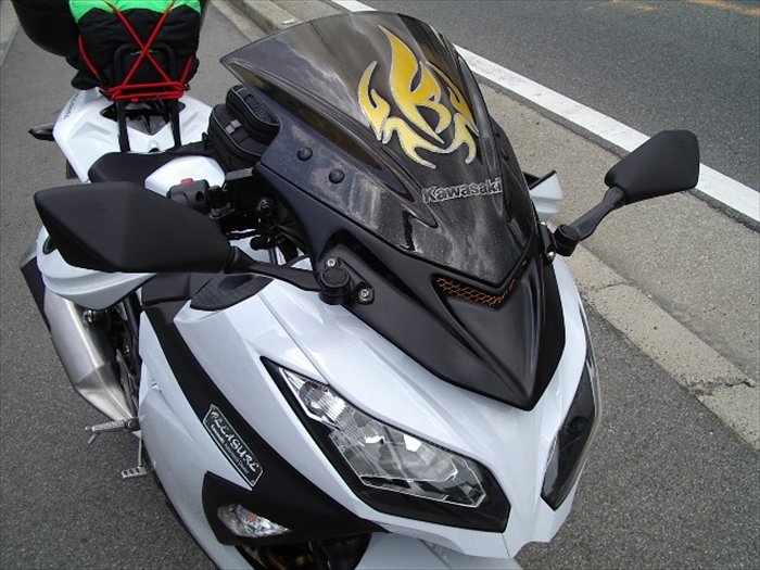 カワサキ Ｎｉｎｊａ２５０ 旅仕様 カスタム