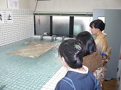 名水洗い | リファイン
