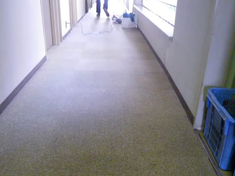カーペット洗浄作業前