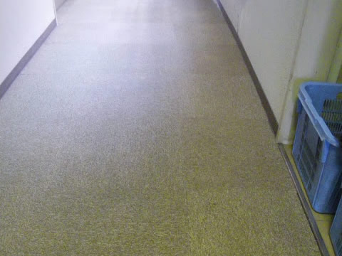 カーペット洗浄作業後