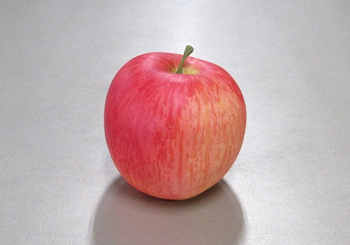 ★くだもの模型　リンゴ・りんご