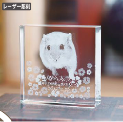 KP-25NX^ʔv@jo|QT@@[U[@ev[g