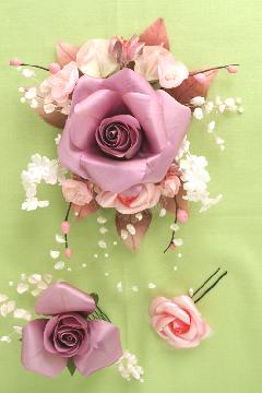A-PPLROSE