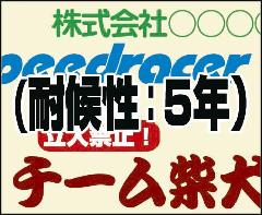 �V�[�g�����J�b�g�i��ʐF5�N���j�@2.5�p�~12�p�ȓ��@74-119725