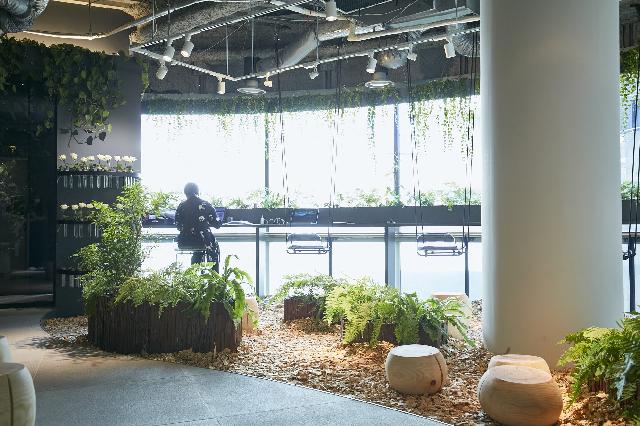 植物×水×IoTを使った"未来の公園"を体感できるオフィスです。