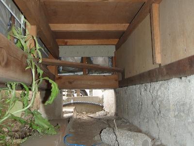 �L�����z���̏����ؕ��ɑ傫�ȐN�������I