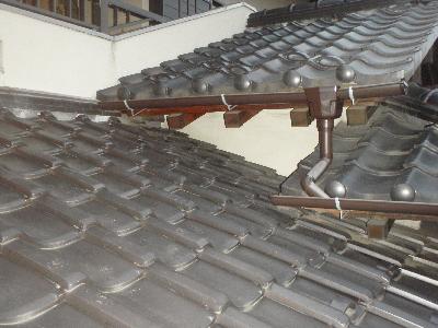 調査の結果、玄関の下屋根にハクビシンの足跡が点々と有りました。その先は玄関の屋根に向かっています。