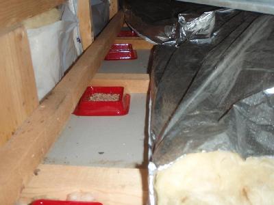 �V�䗠�Ƀ}�E�X�t�B�[�h�i�E���܁j�ݒu