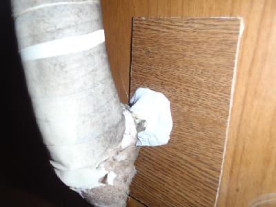 �x�j���ƃp�e���g���A�N�����𕕍��B