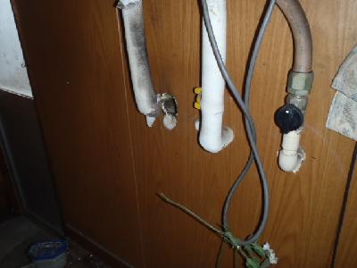 �䏊�̐H��I���ǂ������Ƃ���A�l�Y�~�̐N����������܂����B