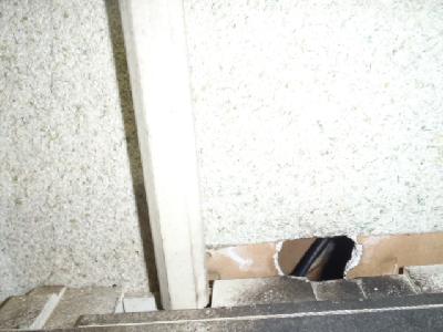 ���d�Ղ̏㍕�����ꂪ���Փ��ł��B(���b�g�T�C���j