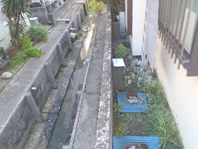 �o���⑝�z���̊�b���璣��o����