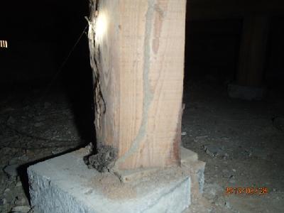建物床下の束にシロアリの蟻道が有りました。