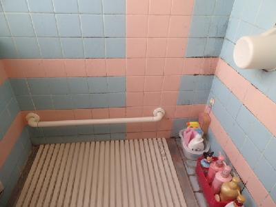 �������̃J�r�����