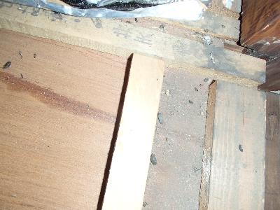 �N�}�l�Y�~�ƃn�c�J�l�Y�~�̕�������