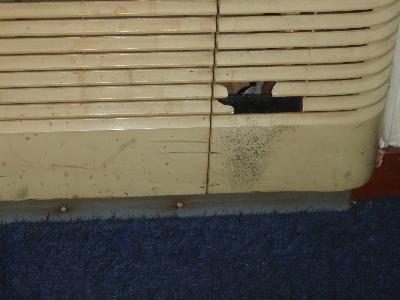 ���[�o�[�̕\�ʂɂ̓N�}�l�Y�~�̍������Ղ�