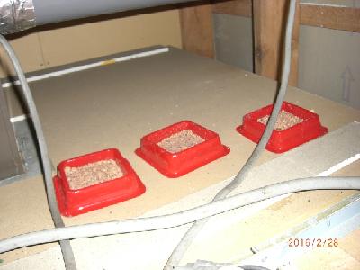 ���j�b�g�o�X�V�䗠�Ƀ}�E�X�t�B�[�h(�ŉa)��ݒu