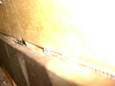 �a�������Ɍ��Ԃ��ł��Ă��܂��B