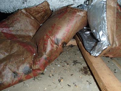 2�K�V�䗠�̗l�q�ł�