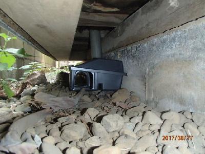 ���ʏ��o����