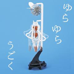 NEW-NIltm[}