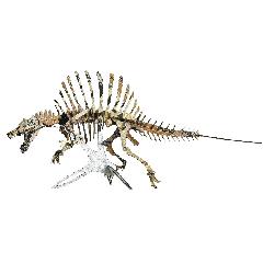 <越前和紙>NEWスピノサウルス<黄土>