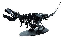 NEWタルボサウルス<ブラック>
